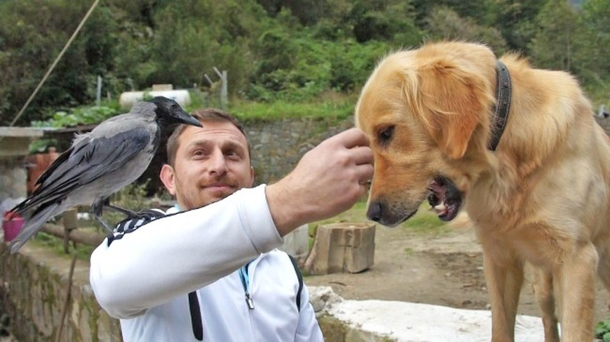 Köpek ile Karganın Kıskandıran Dostluğu