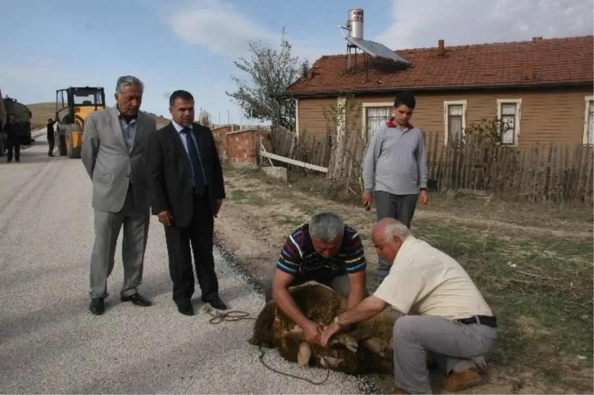 Kurban Kesimli Asfalt Yapımı