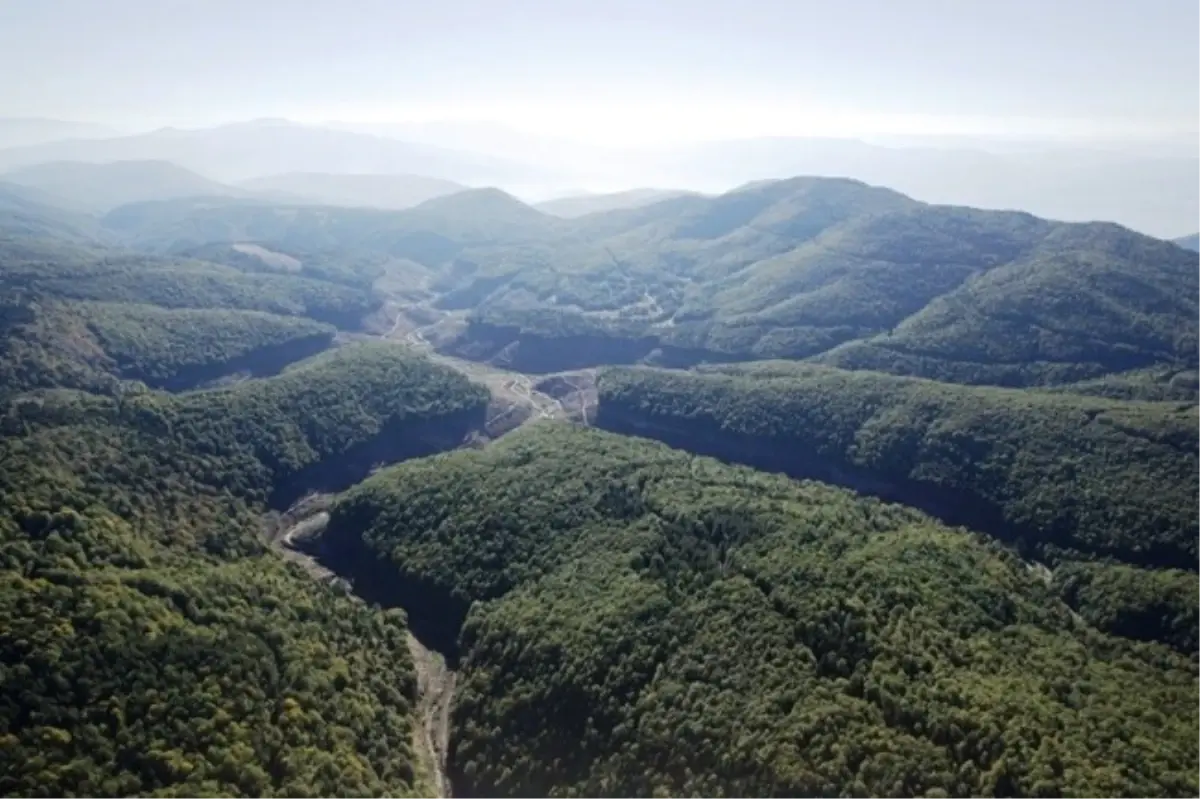 Sakarya ve Kocaeli Ormanları Havadan Görüntülendi