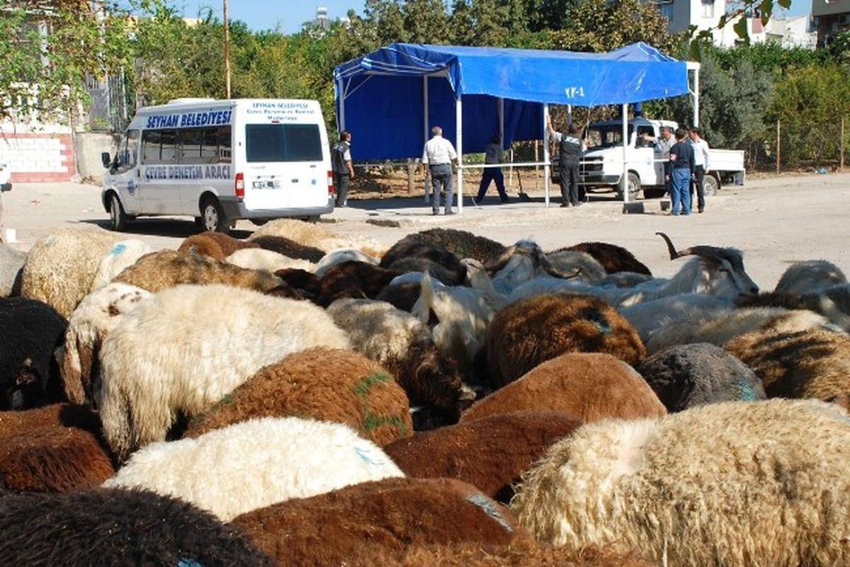 Seyhan\'da Kurban Satış ve Kesim Yerleri Belirlendi