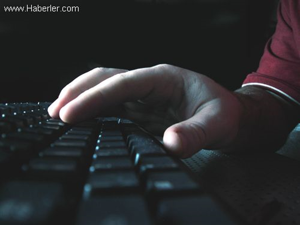 Şirketlerin Belalısı Hacker Yakalandı