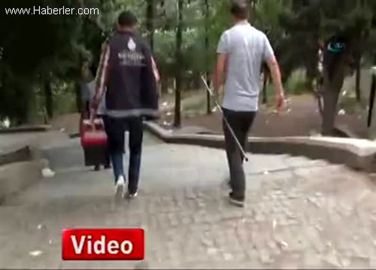 Beyoğlu\'nda Başıboş Köpekler Dehşet Saçtı