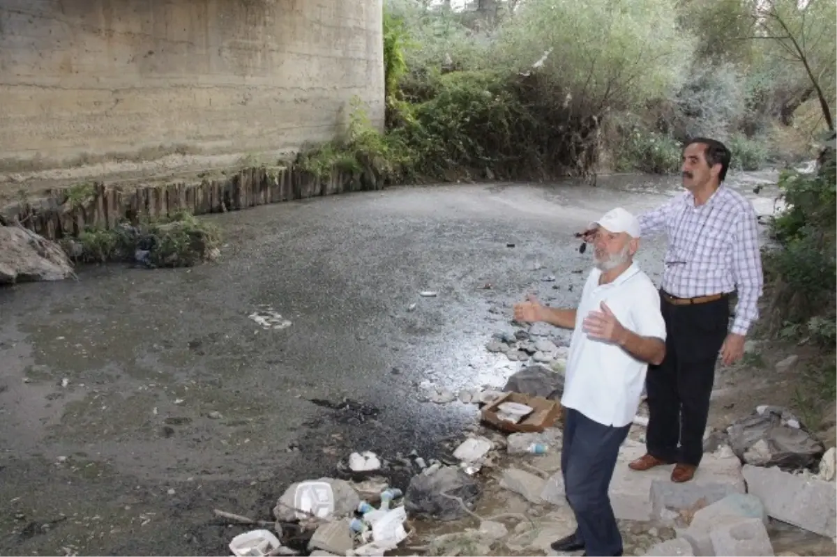 Zehirli Derenin Suyuyla Marulları Suluyorlar