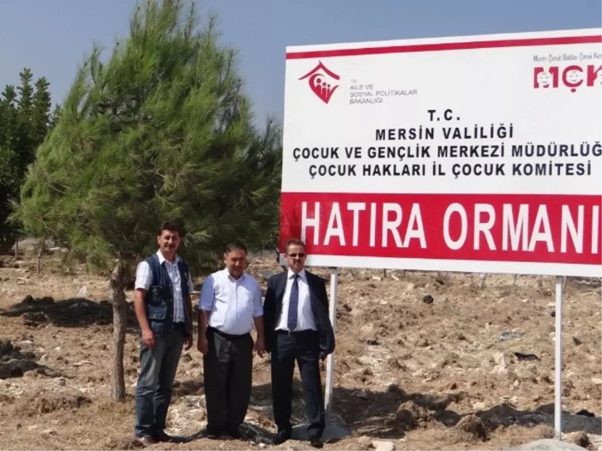 Çocuk Hakları Hatıra Ormanı\'nda Düzenleme Yapılacak