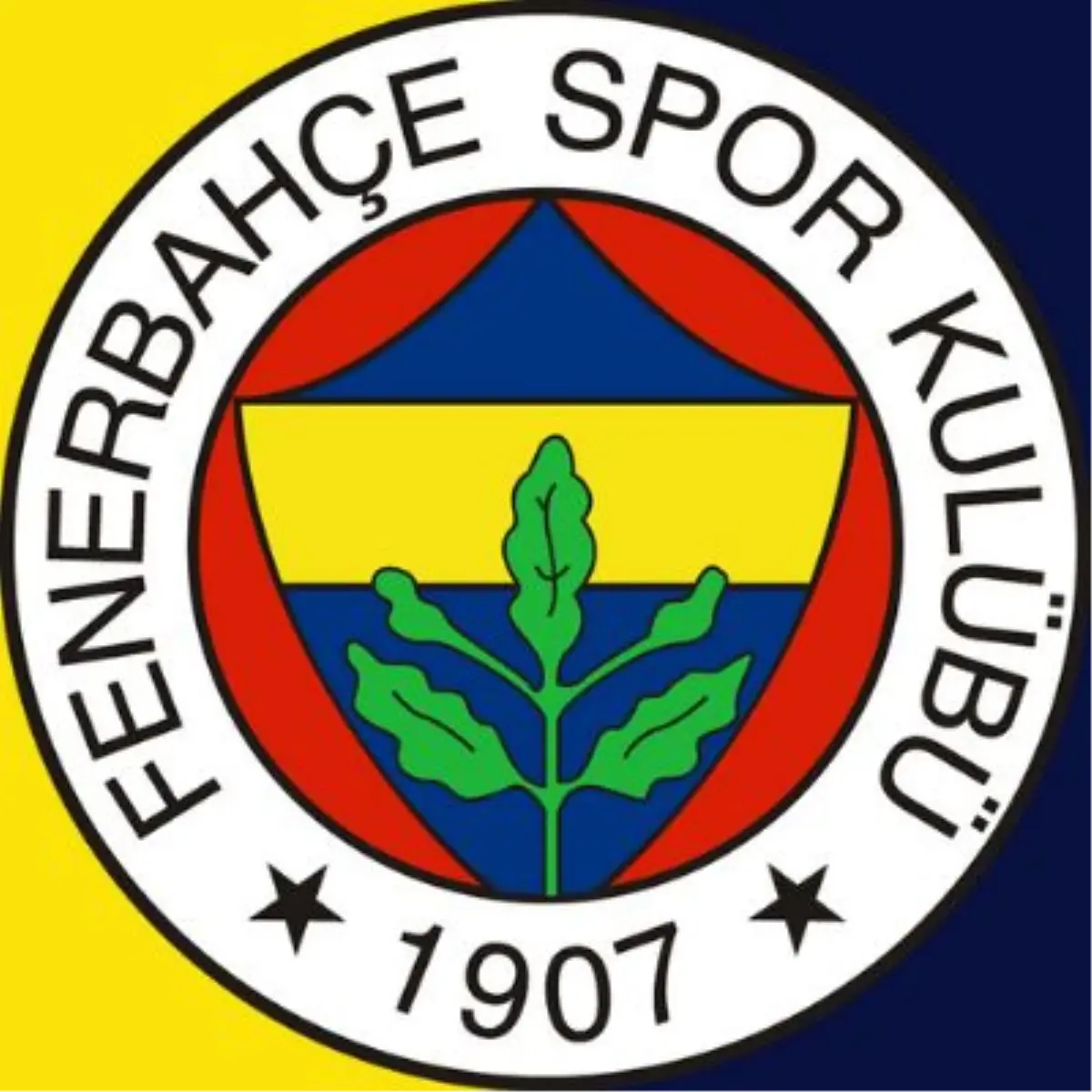 Fenerbahce Futbol A.s. Ozkaynak Degısım Tablosu 30.09.2013 19:13:32