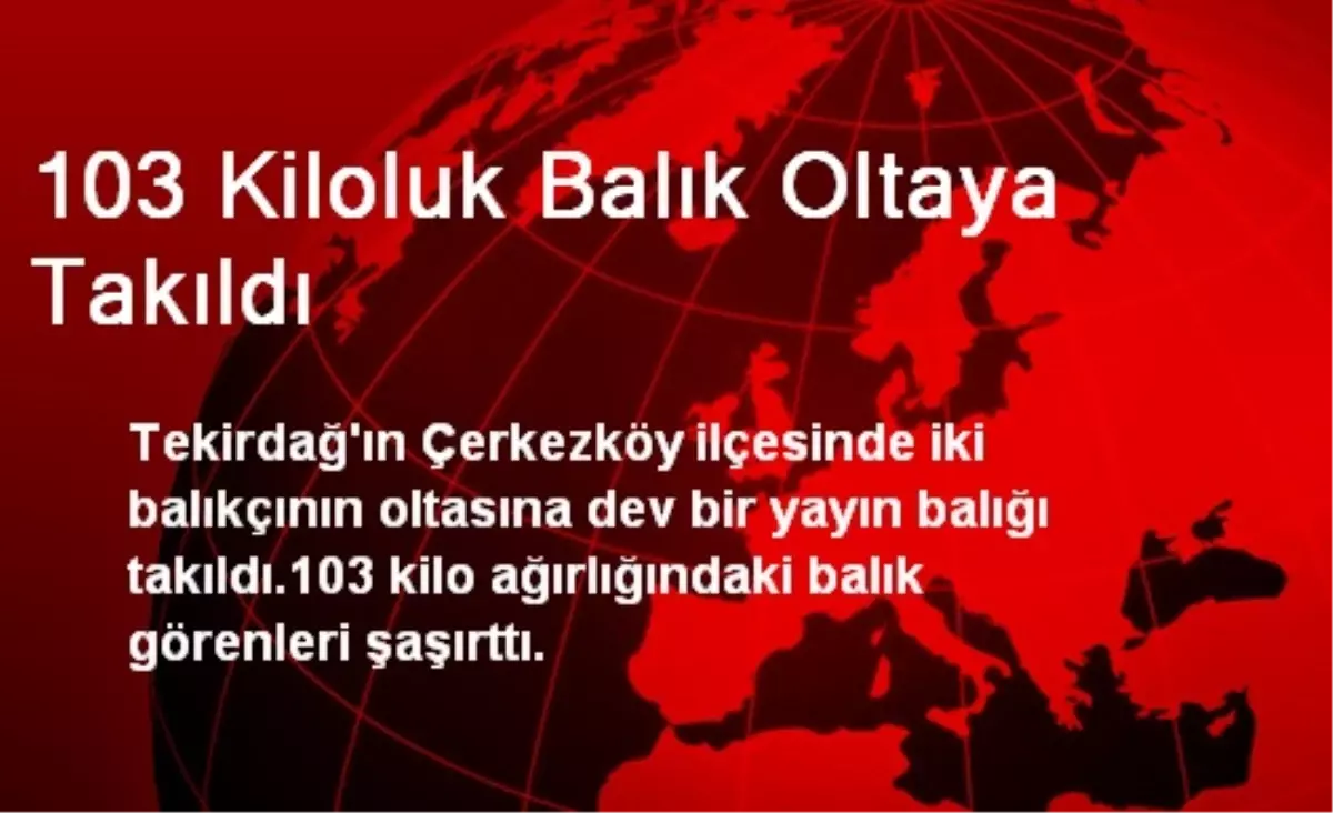 103 Kiloluk Balık Oltaya Takıldı