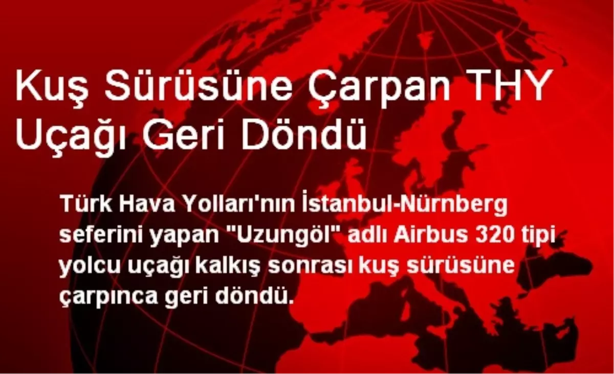 Kuş Sürüsüne Çarpan THY Uçağı Geri Döndü