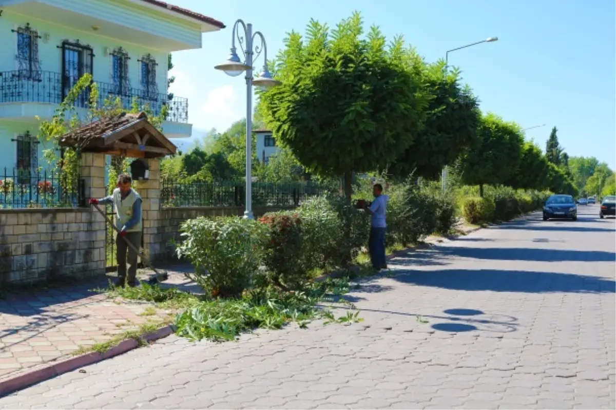 Sapanca\'da Sonbahar Temizliği