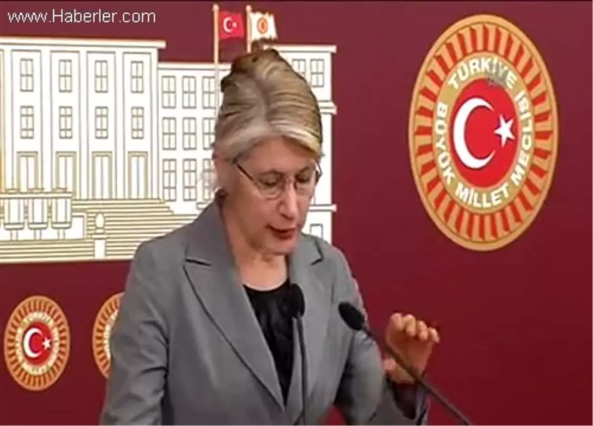 CHP milletvekili Emine Ülker Tarhan TBMM