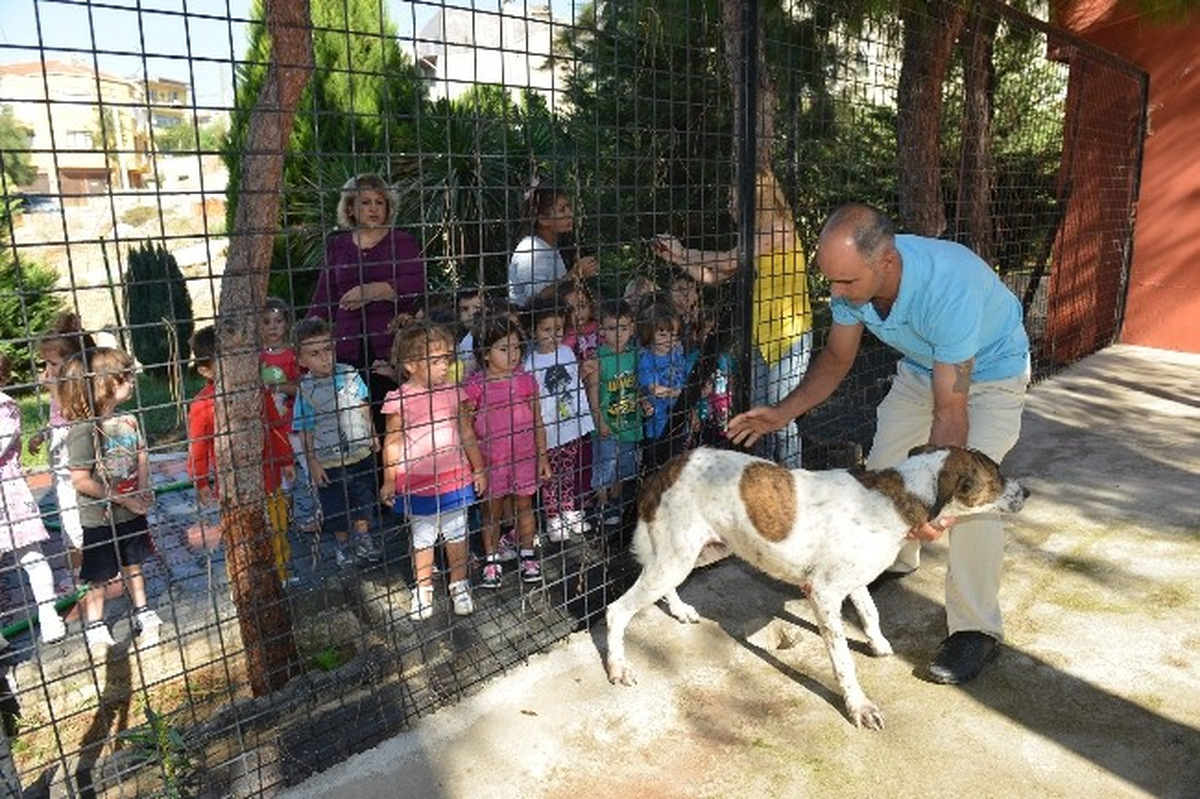 Çiğli\'de Miniklere Hayvan Sevgisi Aşılanıyor