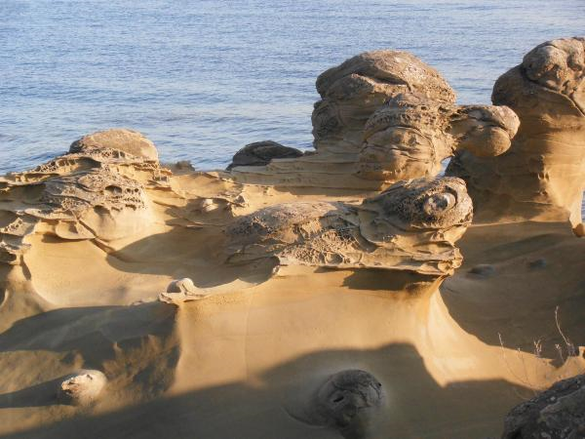 Heykeltıraş Deniz, Malzeme Kayalıklar