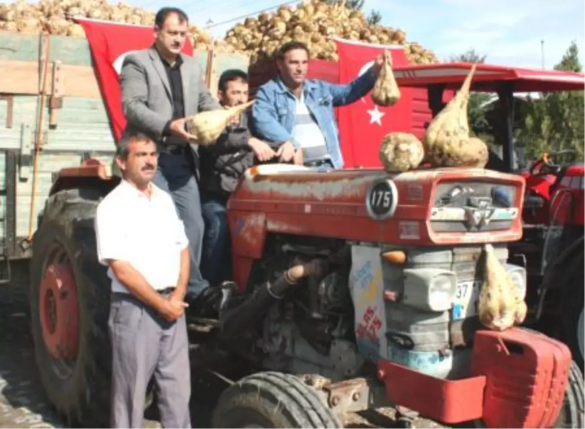 Kastamonu Şeker Fabrikası, Pancar Alımına Başladı