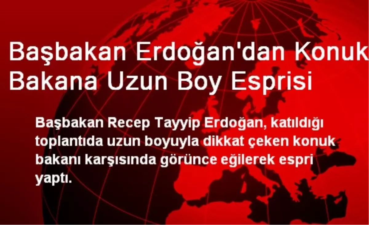 Başbakan Erdoğan\'dan Konuk Bakana Uzun Boy Esprisi