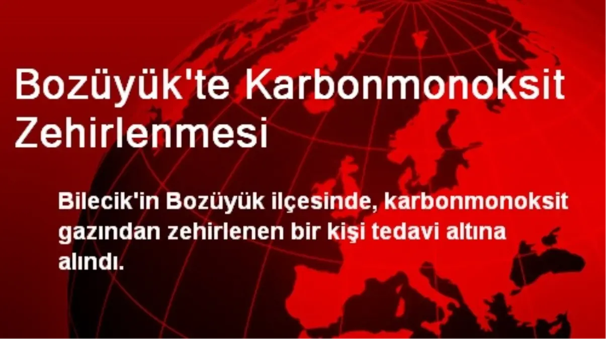 Bozüyük\'te Karbonmonoksit Zehirlenmesi