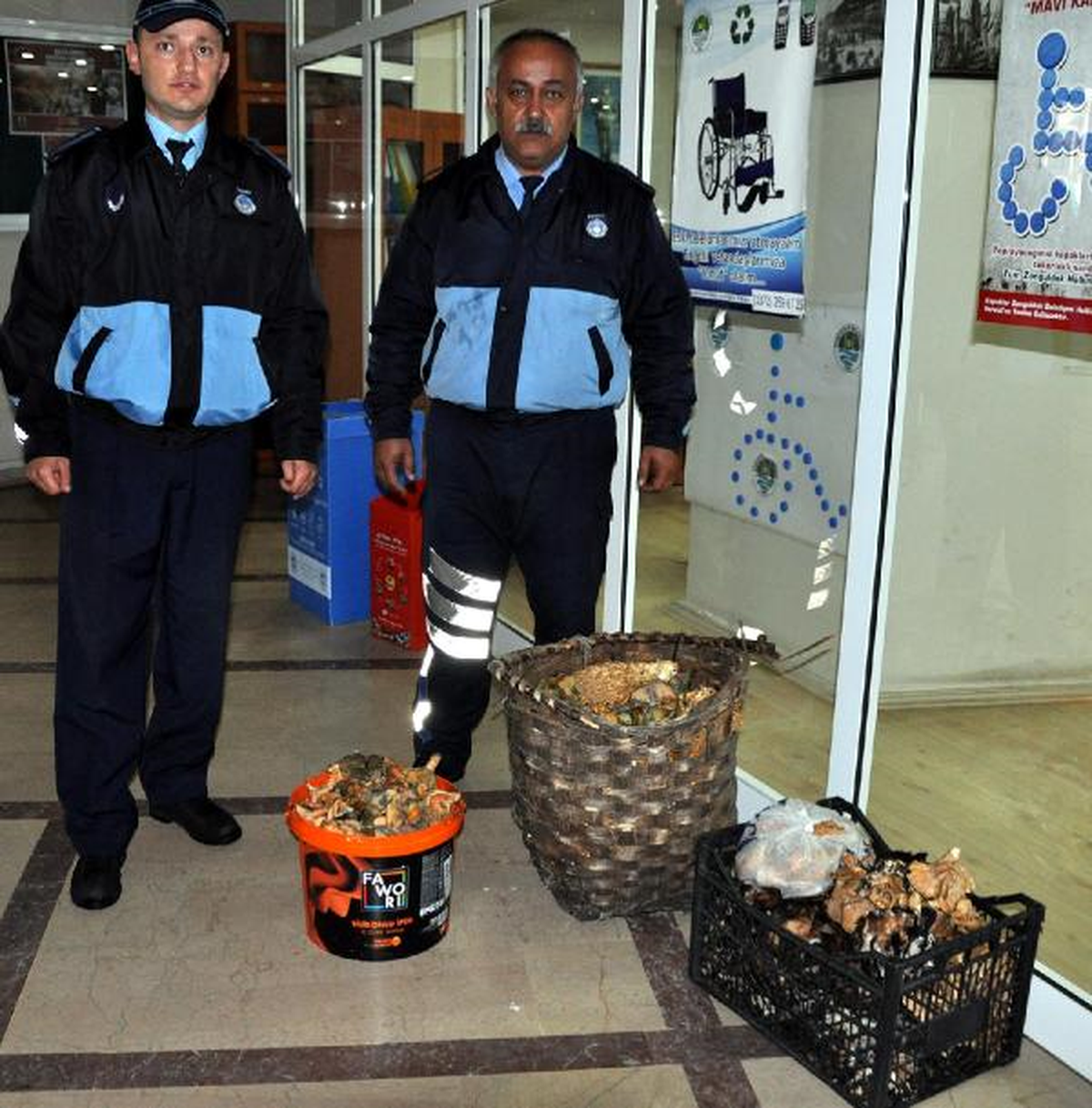 Zonguldak\'ta Mantar Denetimi