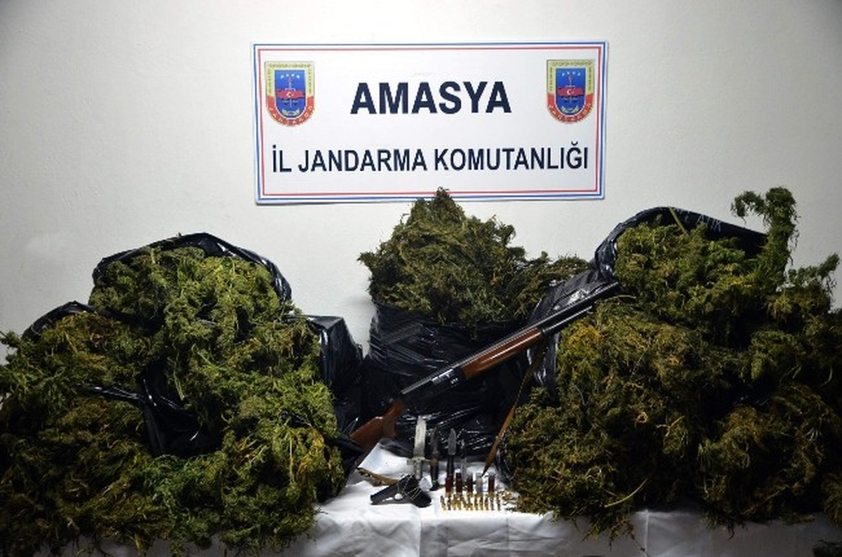 Amasya\'da 60 Kilo Esrar Yakalandı