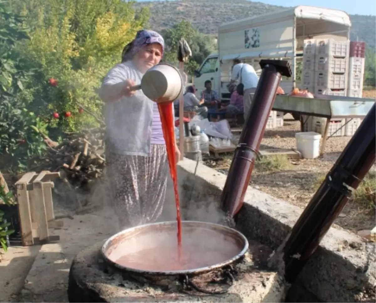 Çatlayan Narlar "Nar Ekşisi" Yapılıyor