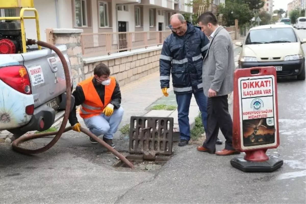 Odunpazarı Belediyesi\'nin Haşereyle Mücadele Çalışmaları