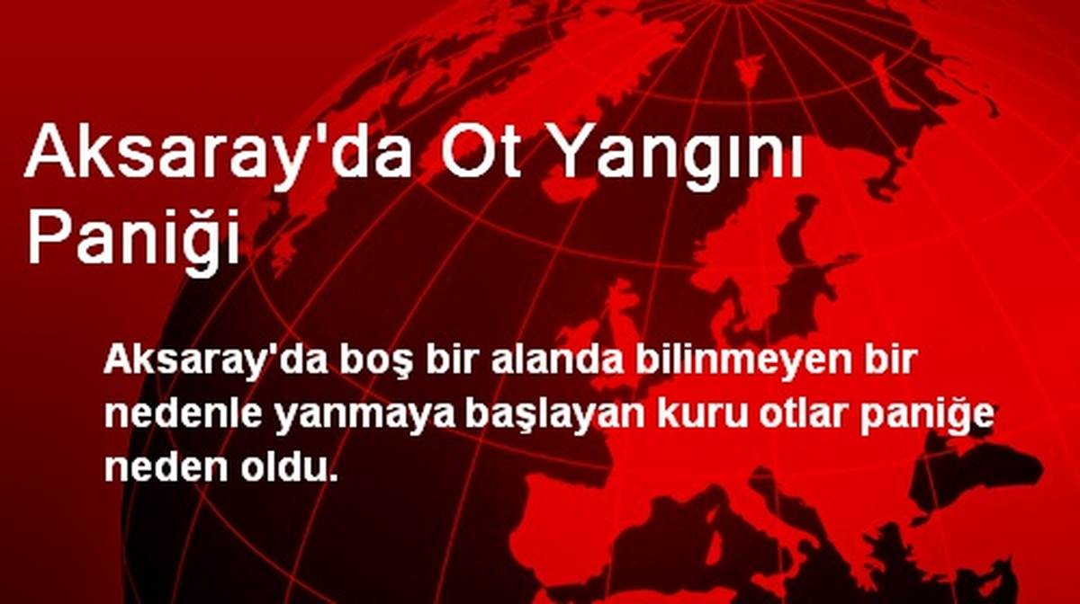 Aksaray\'da Ot Yangını Paniği
