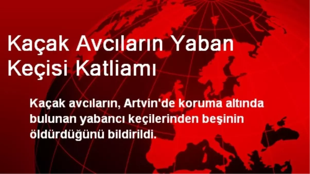 Kaçak Avcıların Yaban Keçisi Katliamı