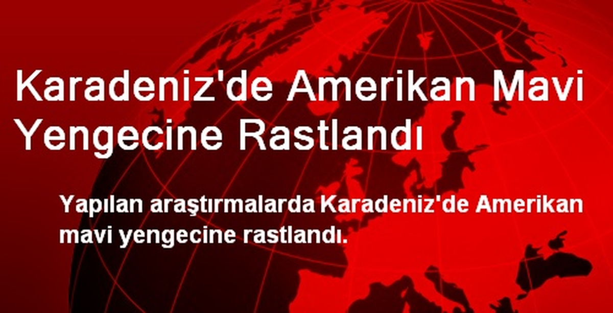 Karadeniz\'de Amerikan Mavi Yengecine Rastlandı