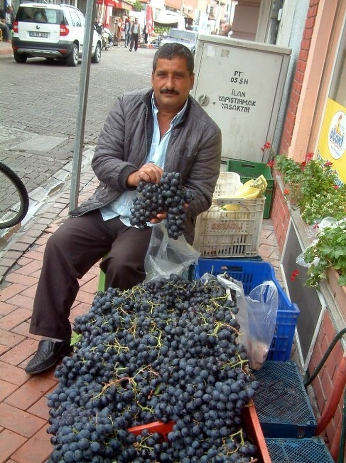 Şifa Kaynağı Kara Üzüme Yoğun İlgi