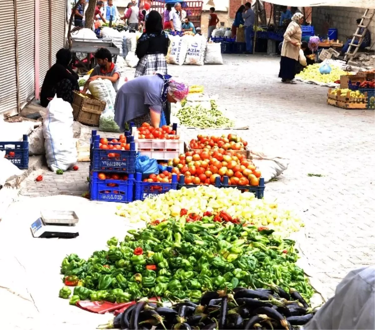 Turşuluklar Pazara Çıktı