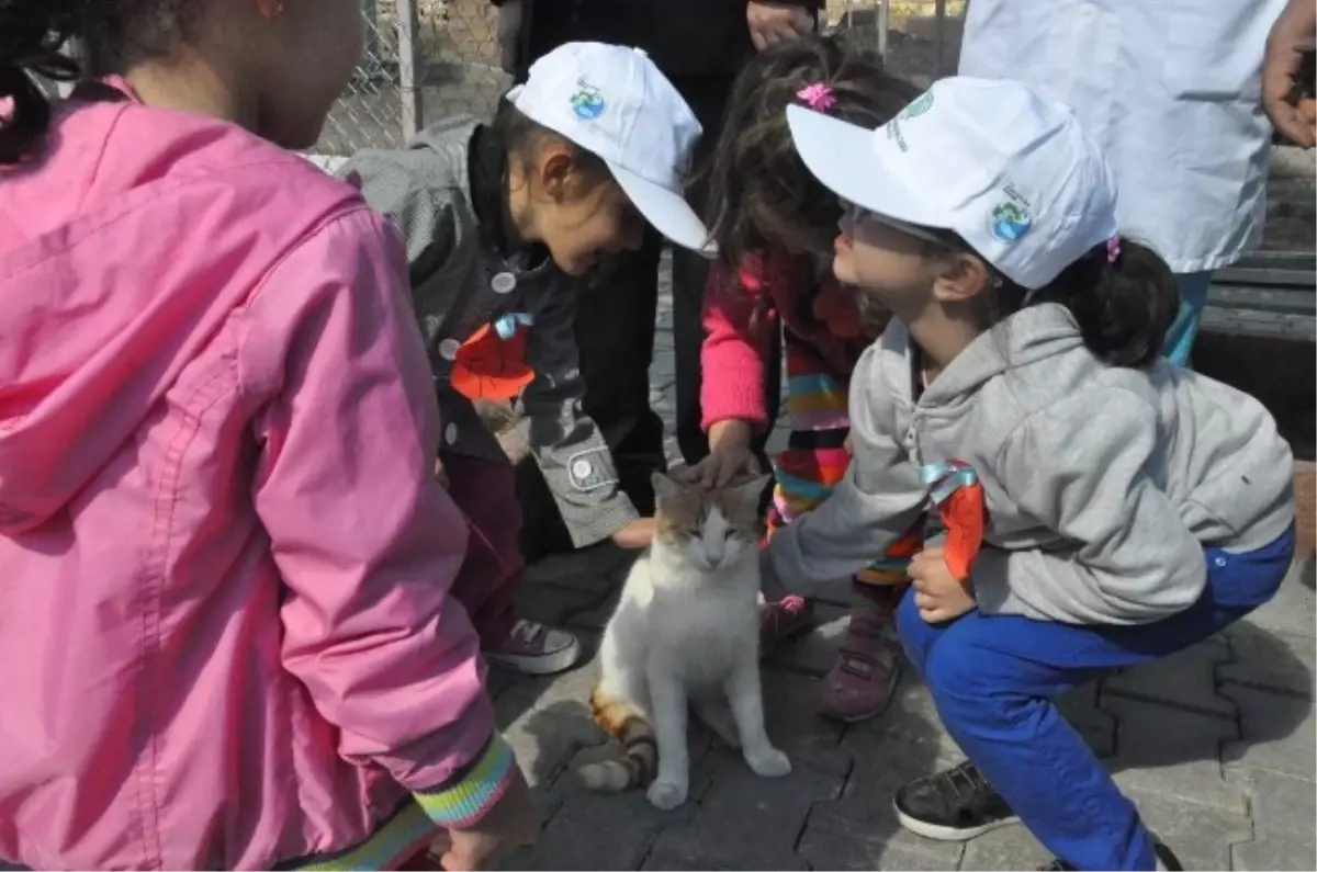 4 Ekim Dünya Hayvanları Koruma Günü