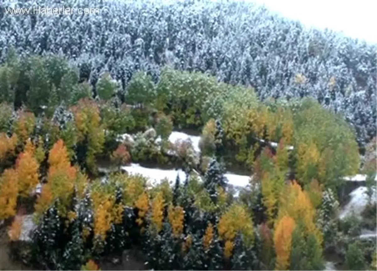 Doğu Karadeniz\'de yüksek kesimlerine kar yağdı