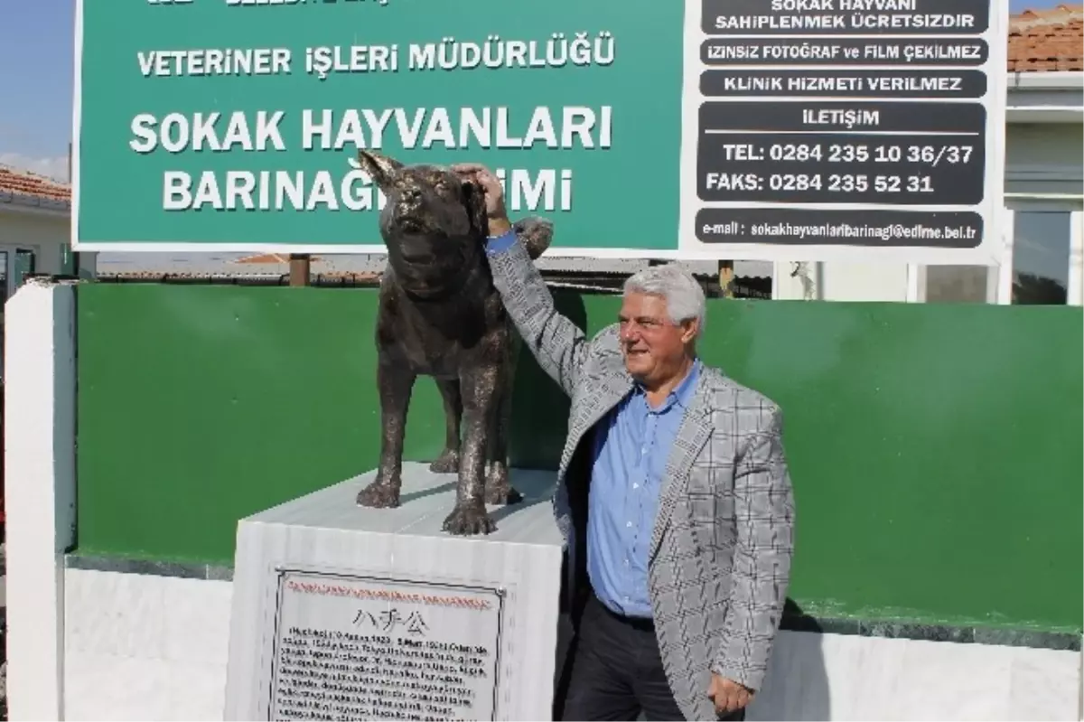 Edirne Köpek Barınağına Hachiko Heykeli