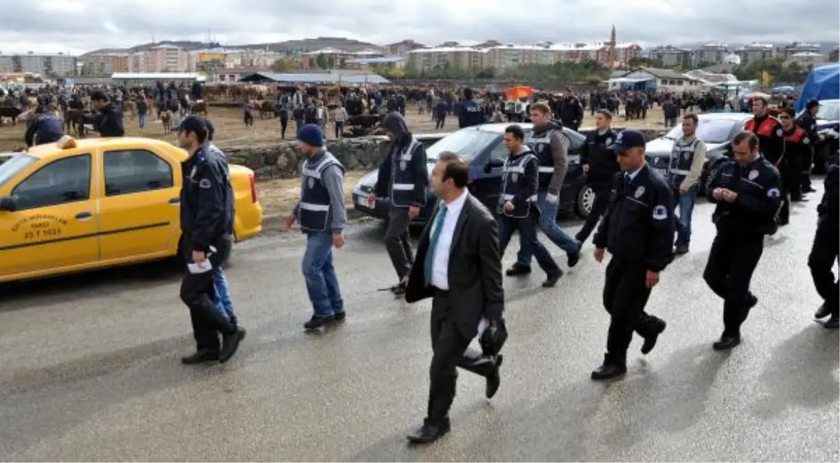 Erzurum\'daki Hayvan Pazarını 500 Polis Didik Didik Aradı