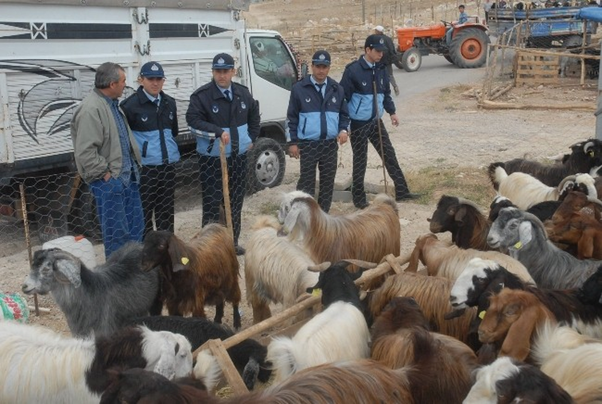 Karaman\'da Kurban Satış ve Kesim Yerleri Belirlendi