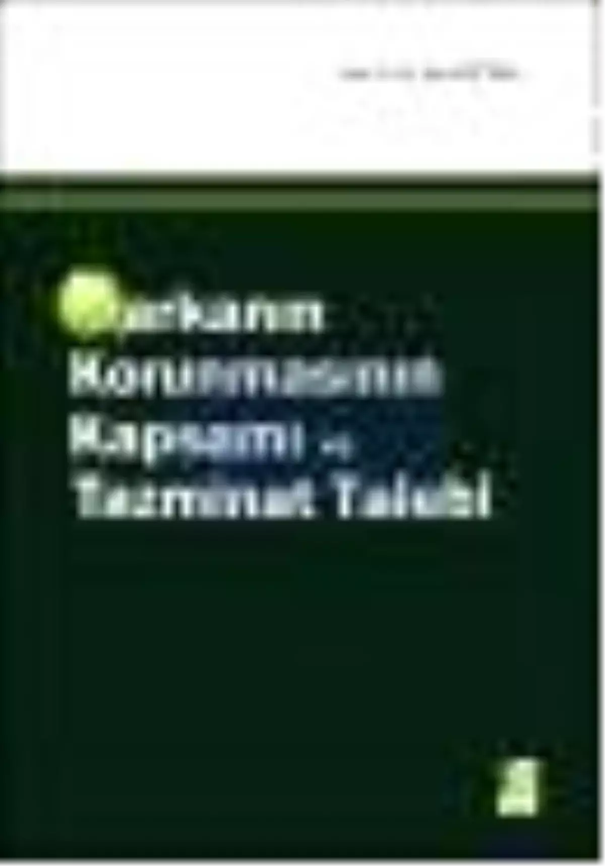 Markanın Korunmasının Kapsamı ve Tazminat Talebi Kitabı