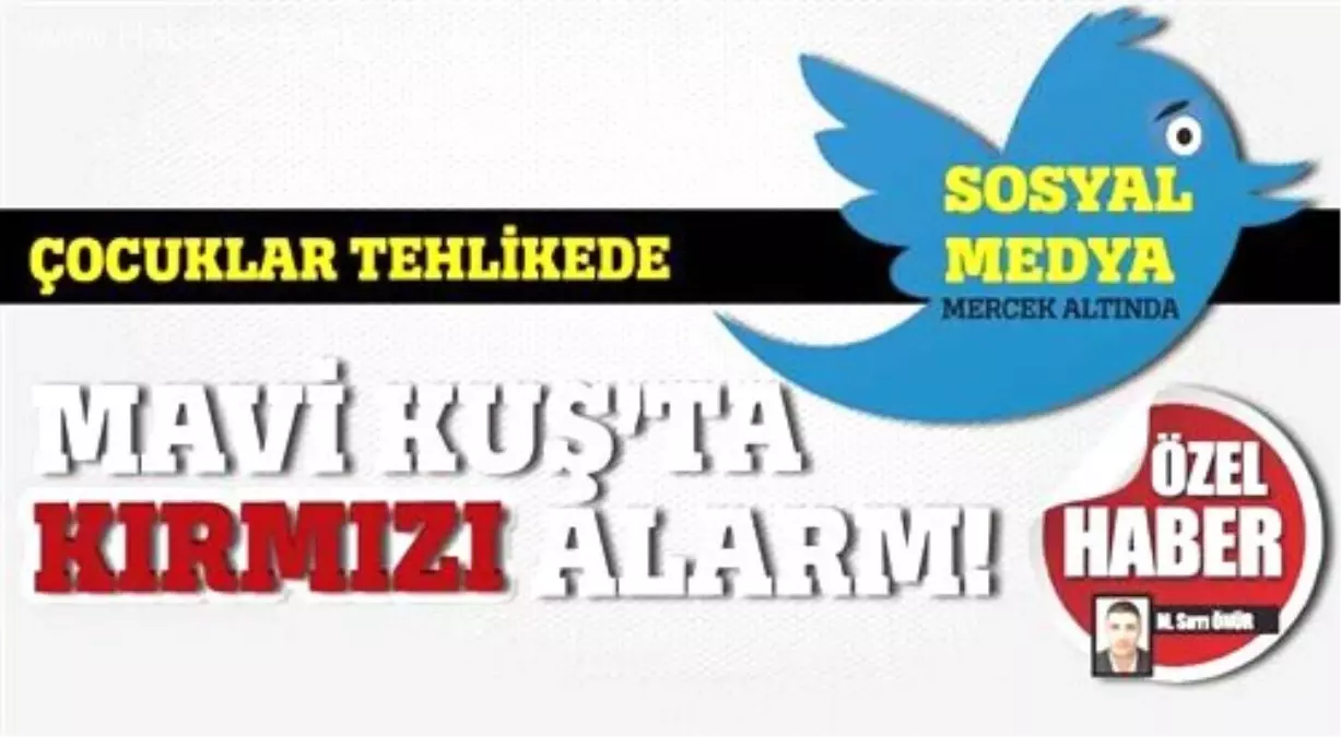 Mavi Kuş\'ta Kırmızı Alarm, Sosyal Medyada Tuzak