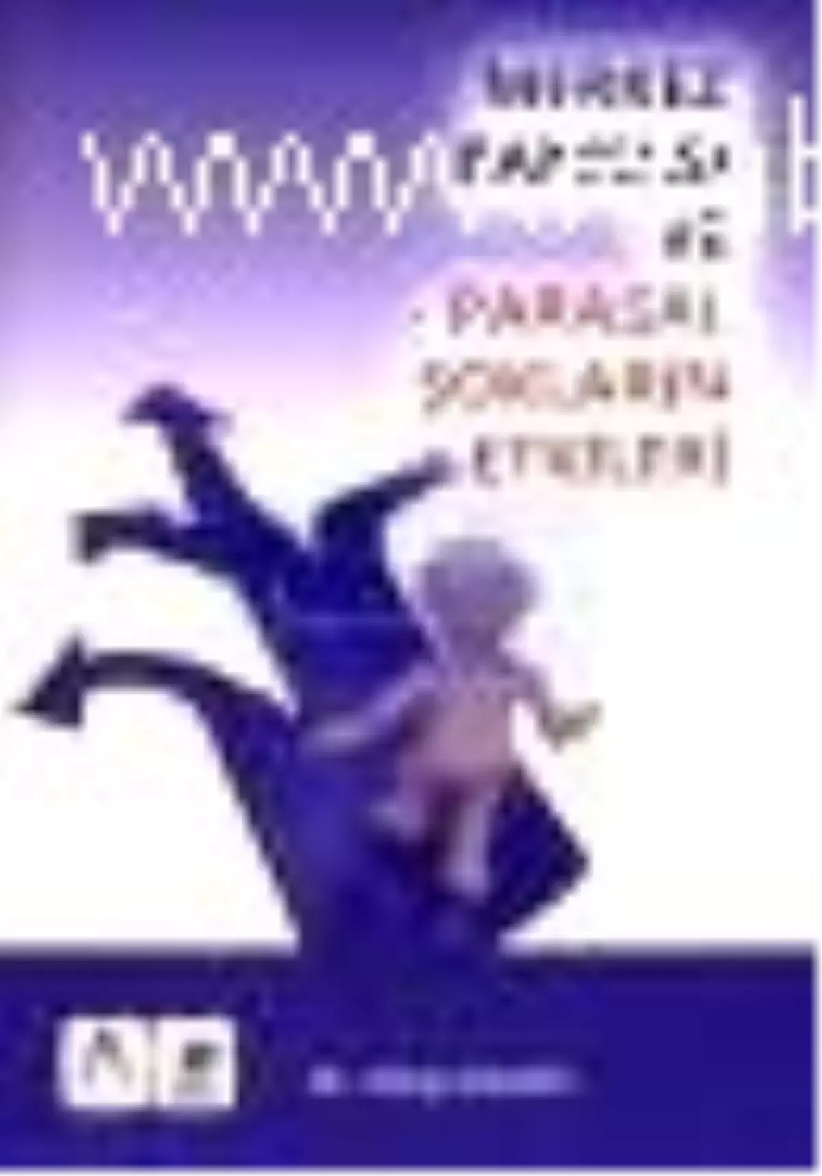 Merkez Bankası ve Parasal Şokların Etkisi Kitabı