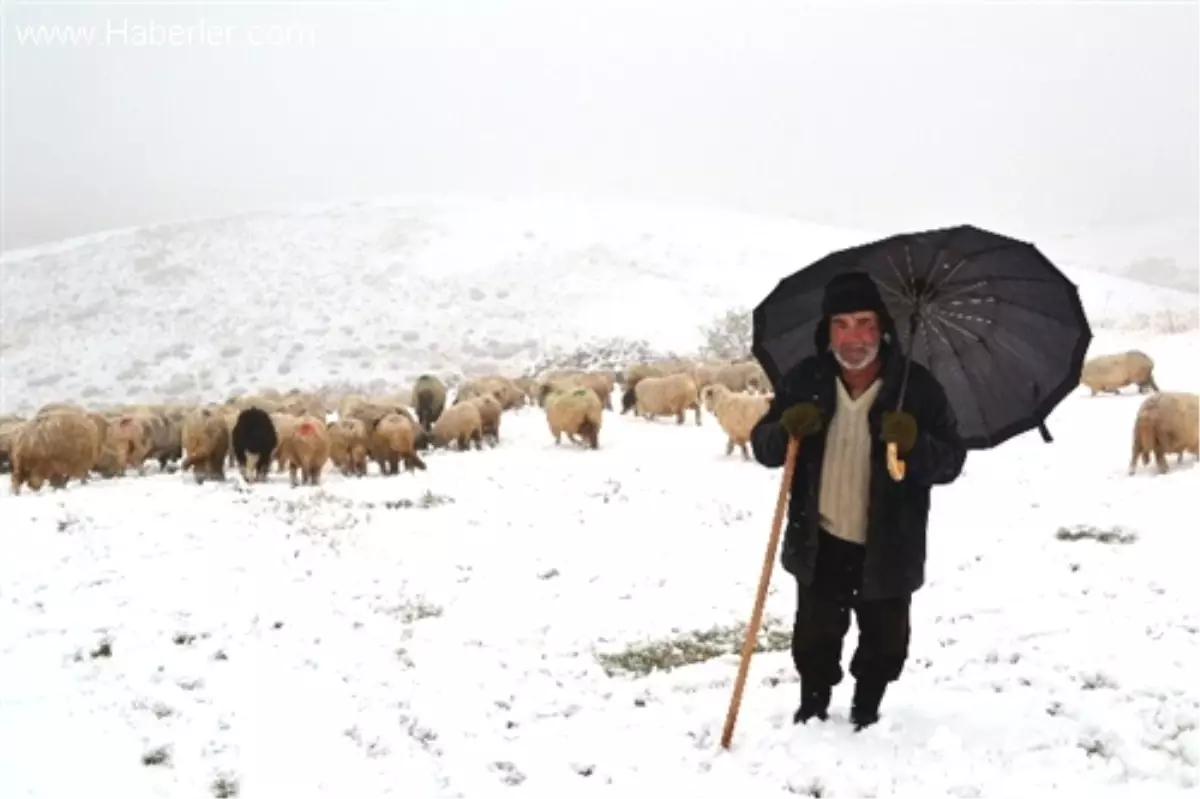 Ordu\'ya Yılın İlk Karı Düştü