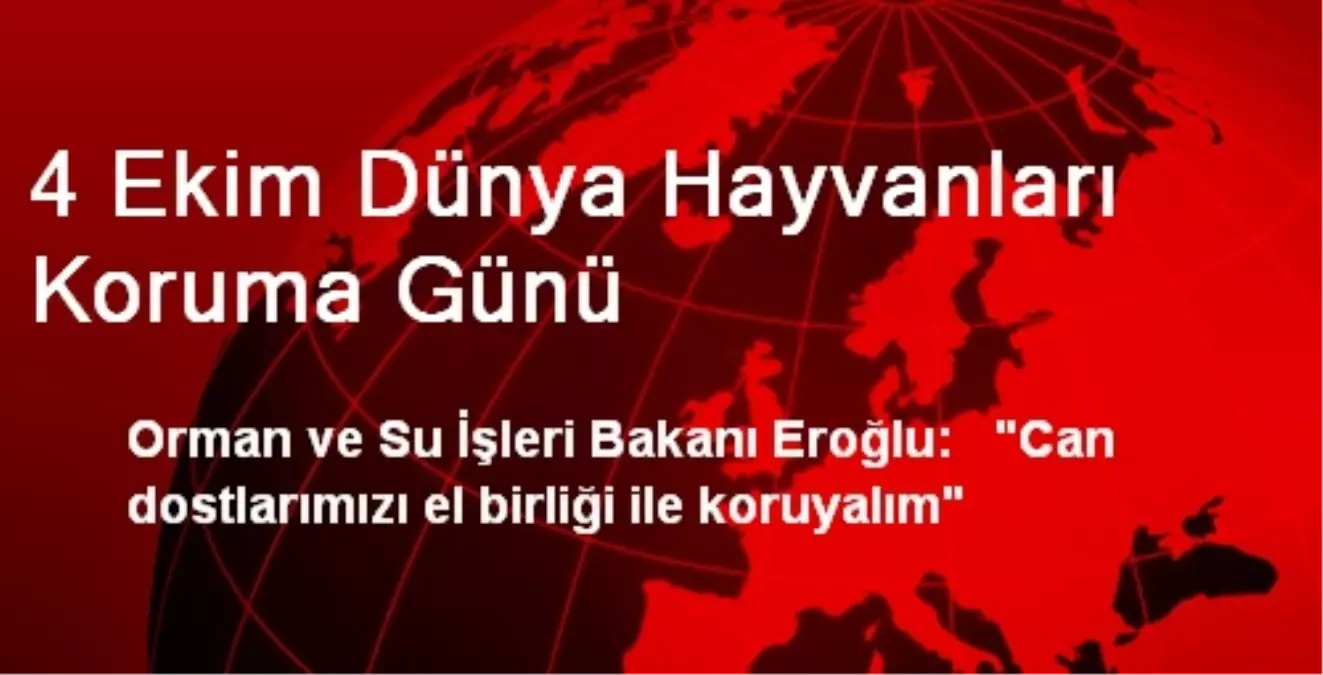 4 Ekim Dünya Hayvanları Koruma Günü