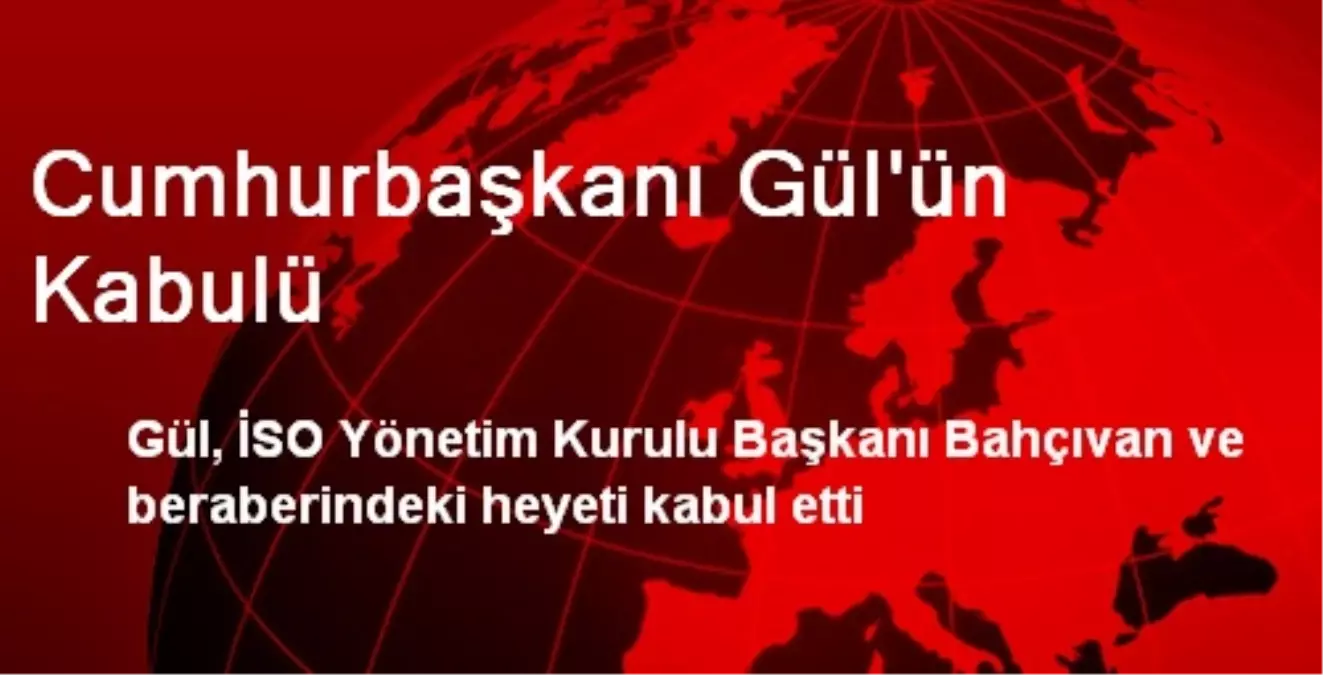 Cumhurbaşkanı Gül\'ün Kabulü