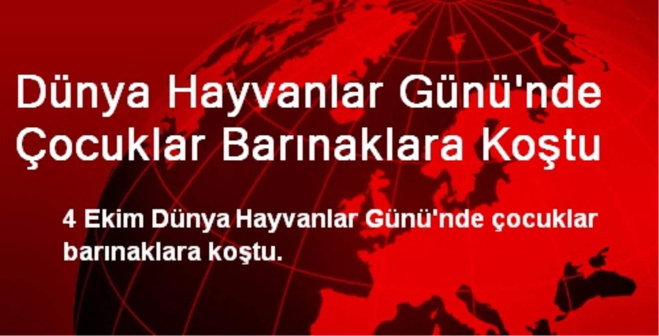 Dünya Hayvanlar Günü\'nde Çocuklar Barınaklara Koştu