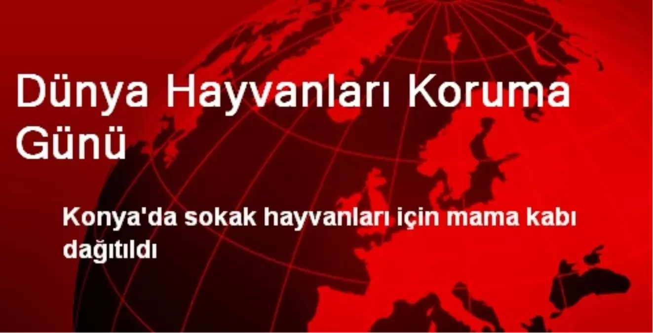 Dünya Hayvanları Koruma Günü