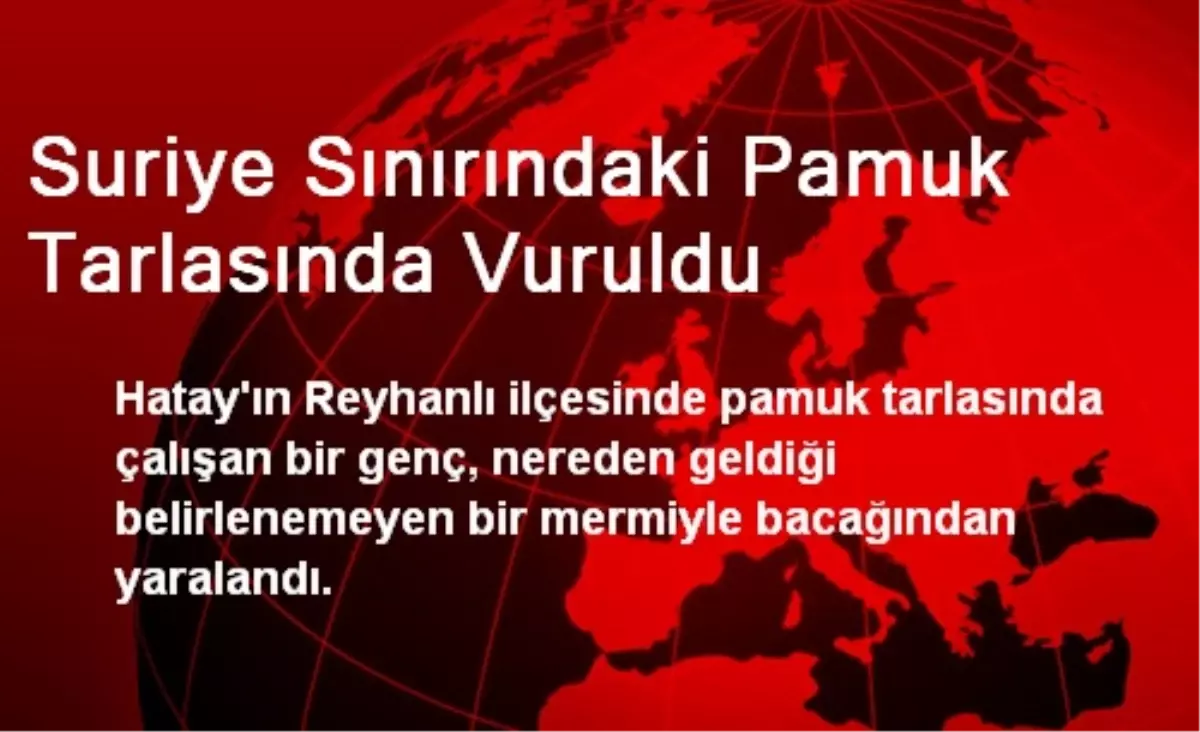 Suriye Sınırındaki Pamuk Tarlasında Vuruldu