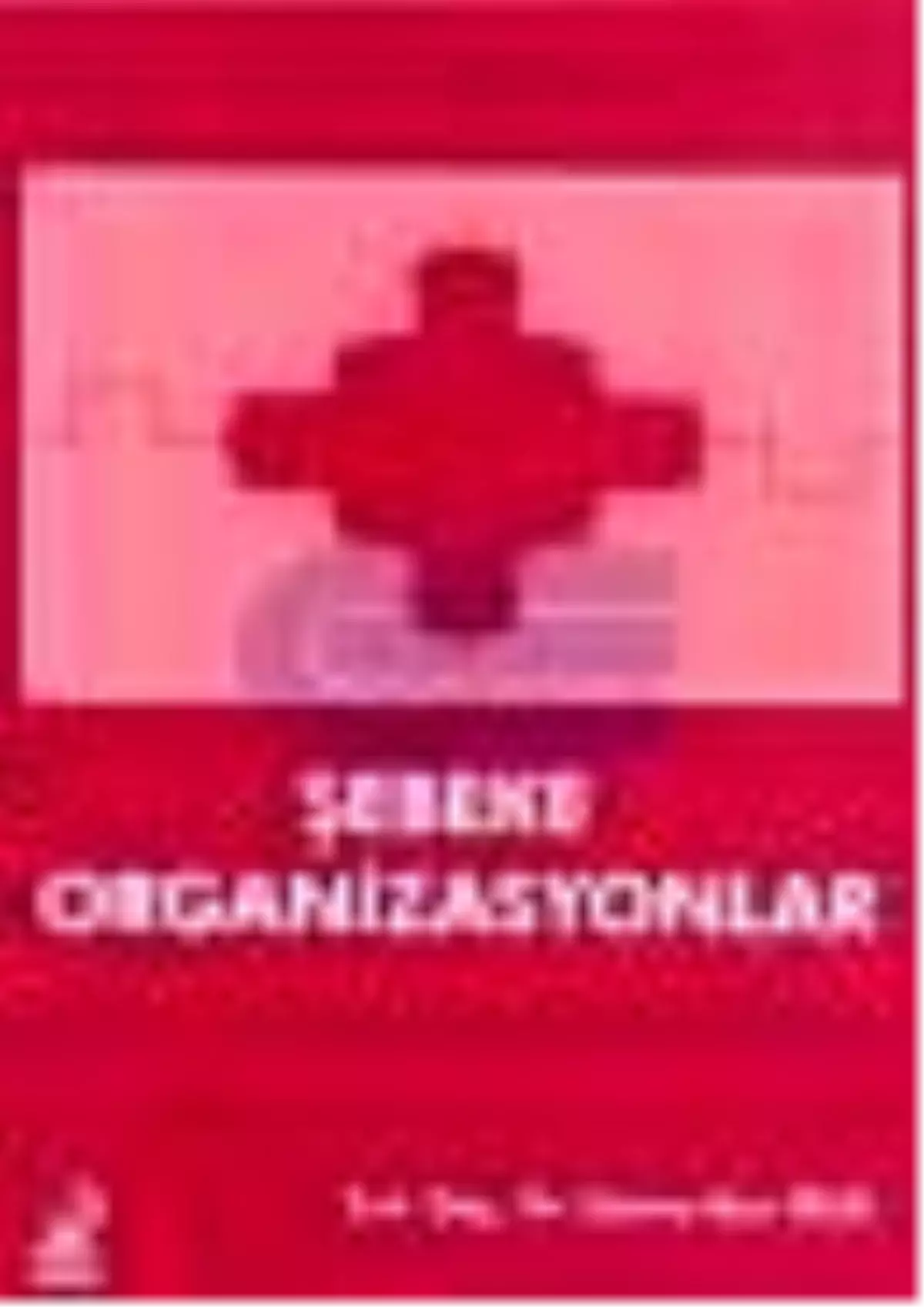 Şebeke Organizasyonlar Kitabı