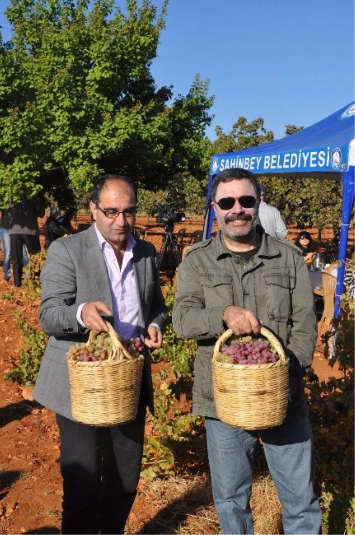 Şire Festivali, Bağ Bozumu ile Başladı