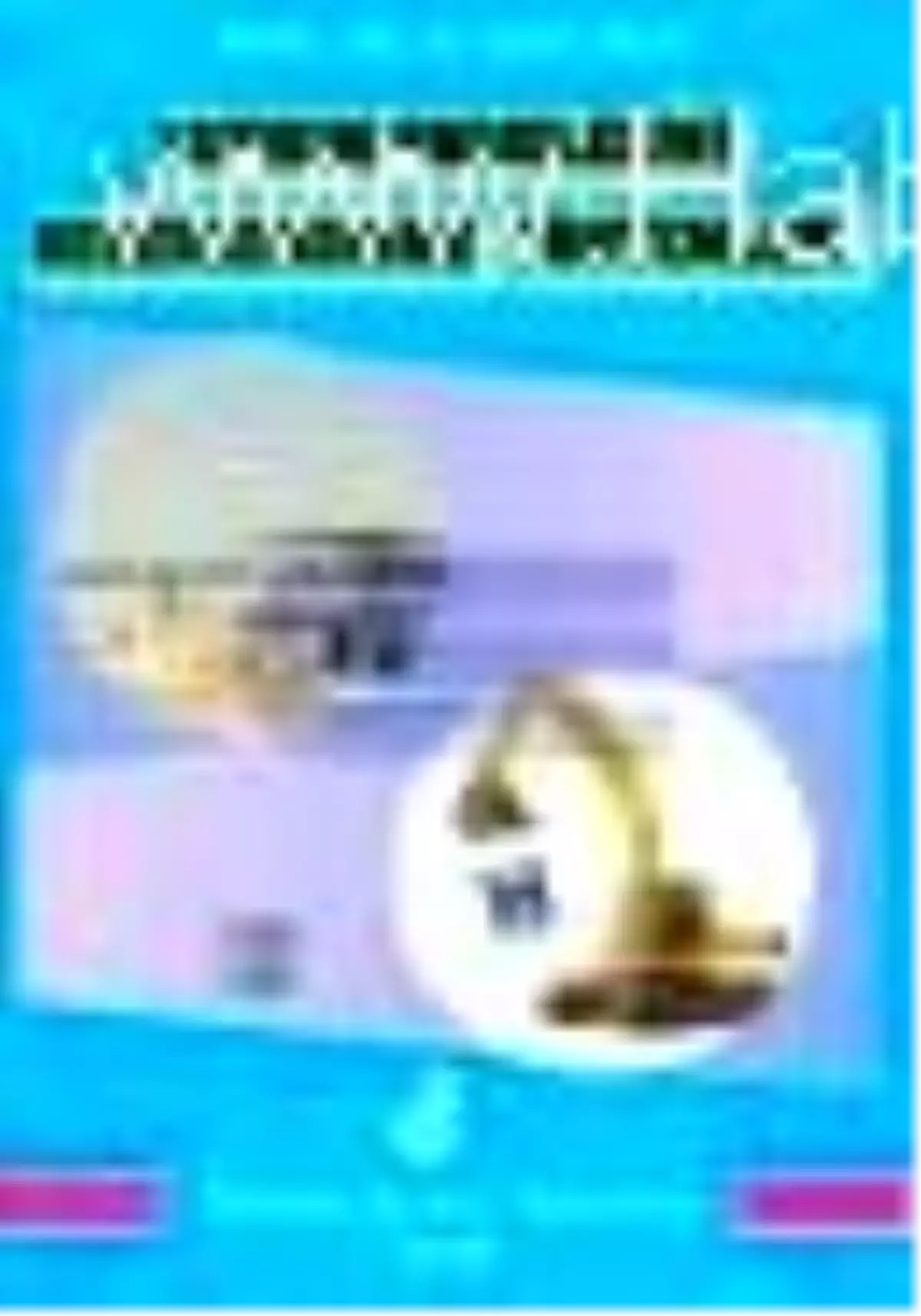 Yatırım Projelerini Değerlendirme Yöntemleri Kitabı Çıktı