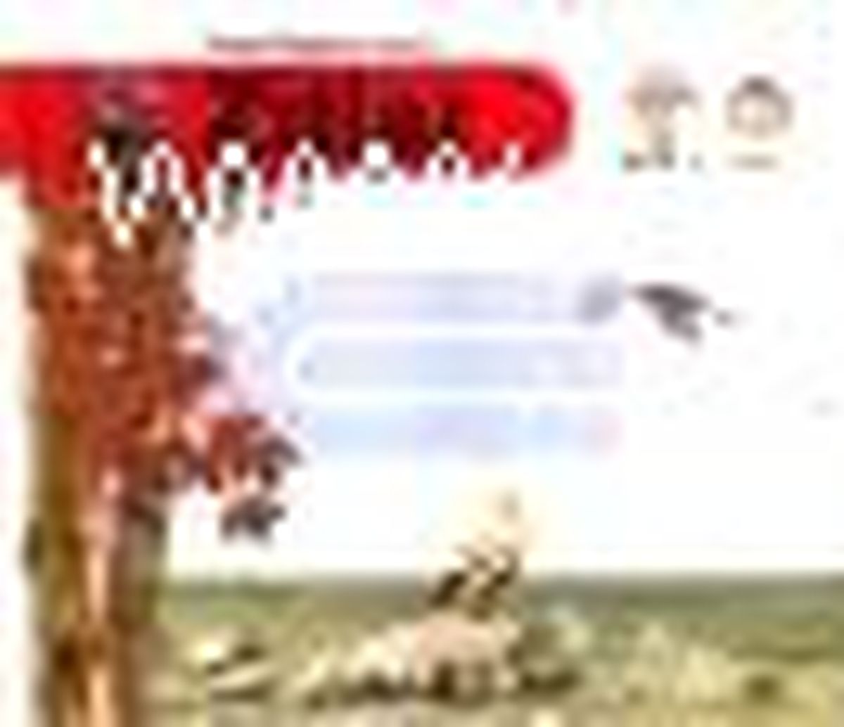 Zıtlar (Kitap + Int. Cd) Kitabı