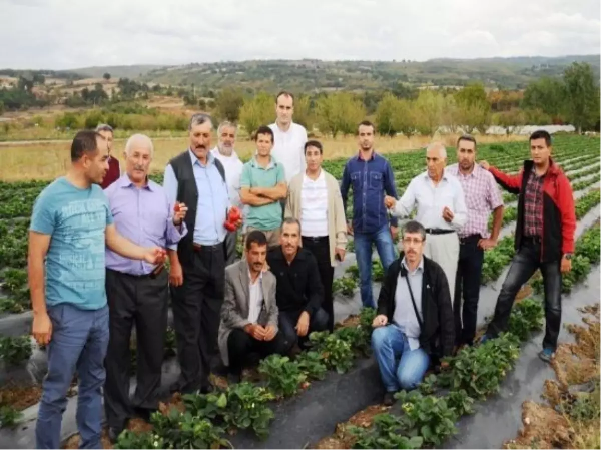 Lider Üreticiler Tarım Teknik Gezisine Katıldı