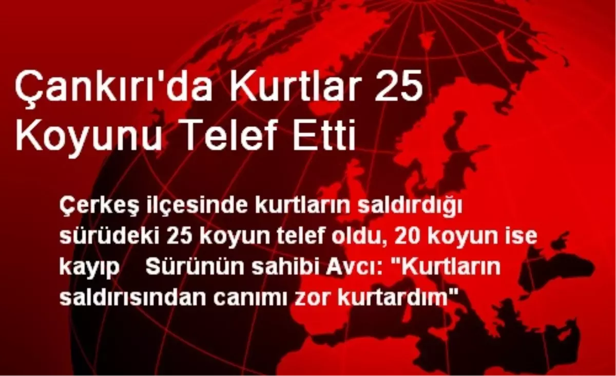 Çankırı\'da Kurtlar 25 Koyunu Telef Etti