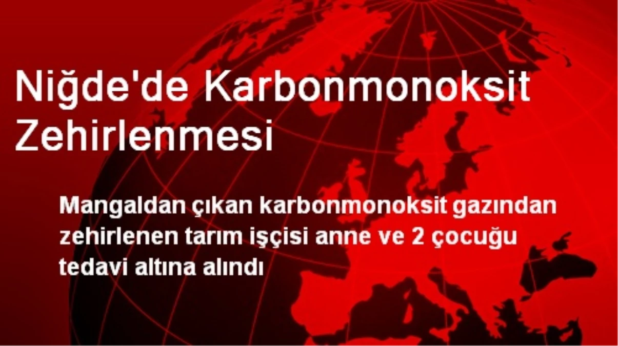 Niğde\'de Karbonmonoksit Zehirlenmesi