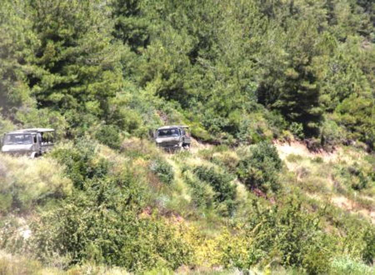Terör Örgütü Üyeleri, Dörtyol\'da Vatandaşa Erzak Aldırdı