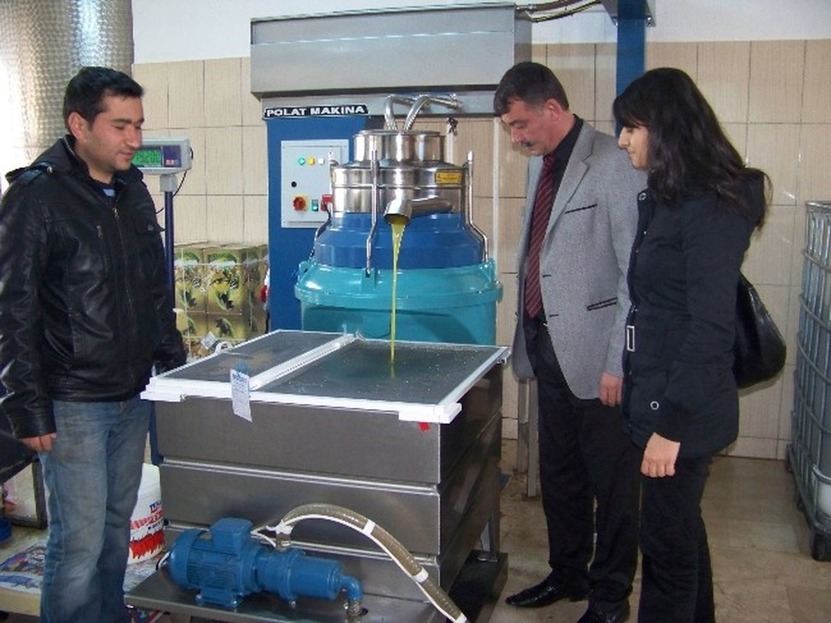 Zeytin, Üreticinin Yüzünü Güldürdü